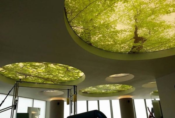 Spanplafond - Groen op kantoor?