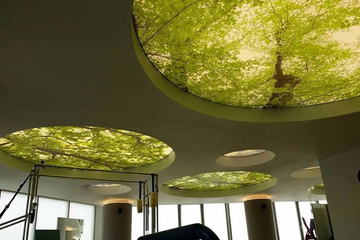 Spanplafond – Groen op kantoor?